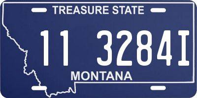 MT license plate 113284I