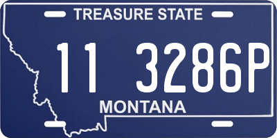 MT license plate 113286P