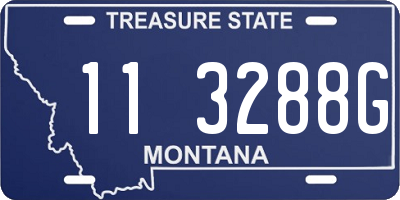 MT license plate 113288G