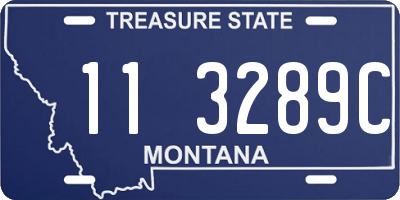 MT license plate 113289C