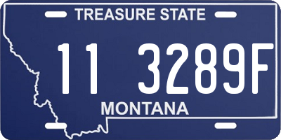 MT license plate 113289F