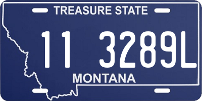 MT license plate 113289L