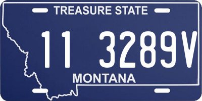 MT license plate 113289V