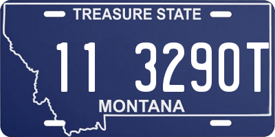 MT license plate 113290T