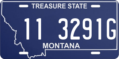 MT license plate 113291G
