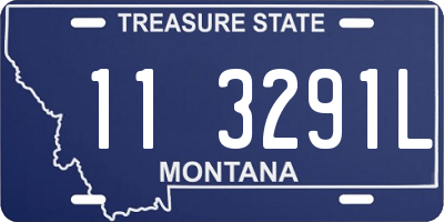 MT license plate 113291L