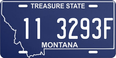 MT license plate 113293F
