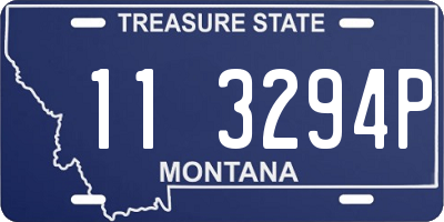 MT license plate 113294P