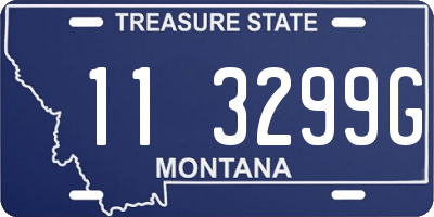 MT license plate 113299G