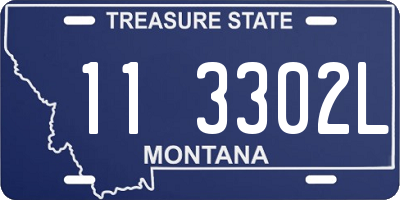 MT license plate 113302L