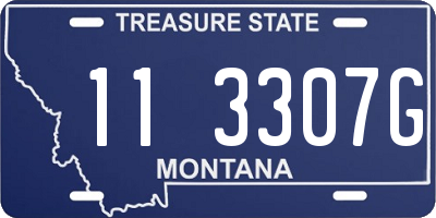MT license plate 113307G