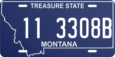MT license plate 113308B