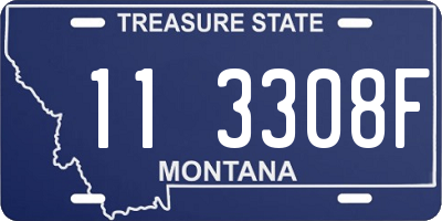 MT license plate 113308F