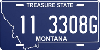 MT license plate 113308G