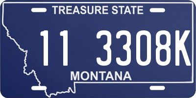 MT license plate 113308K