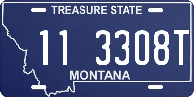 MT license plate 113308T