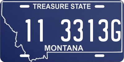 MT license plate 113313G