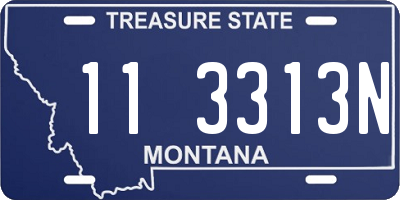 MT license plate 113313N