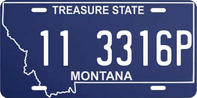 MT license plate 113316P