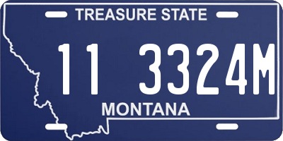 MT license plate 113324M