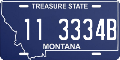 MT license plate 113334B