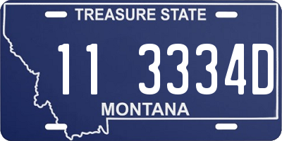 MT license plate 113334D