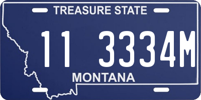 MT license plate 113334M