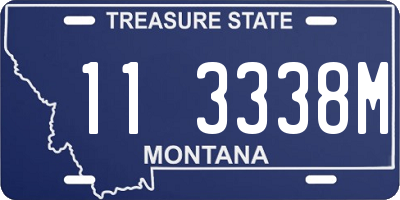 MT license plate 113338M