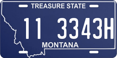 MT license plate 113343H