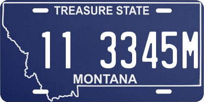 MT license plate 113345M