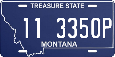 MT license plate 113350P