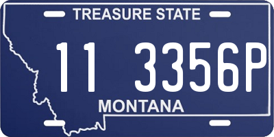MT license plate 113356P