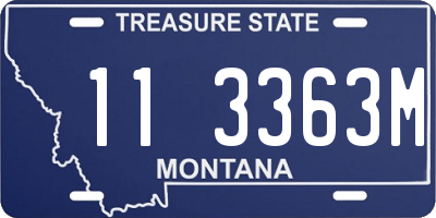 MT license plate 113363M