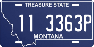 MT license plate 113363P