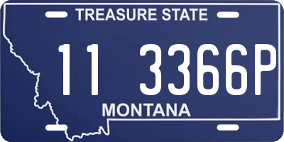 MT license plate 113366P