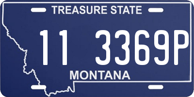 MT license plate 113369P