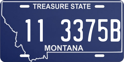 MT license plate 113375B