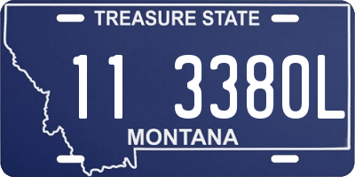 MT license plate 113380L