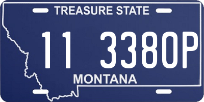 MT license plate 113380P