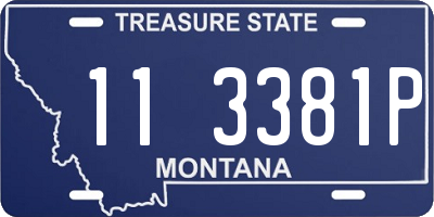 MT license plate 113381P