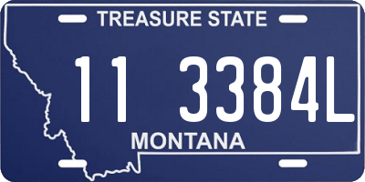 MT license plate 113384L