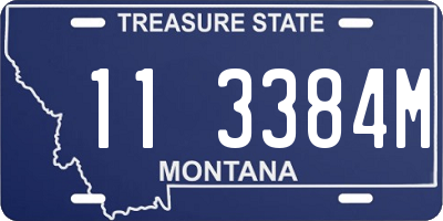 MT license plate 113384M