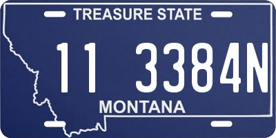 MT license plate 113384N