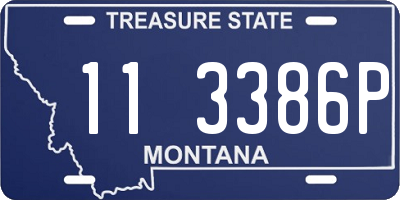 MT license plate 113386P
