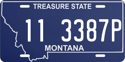 MT license plate 113387P