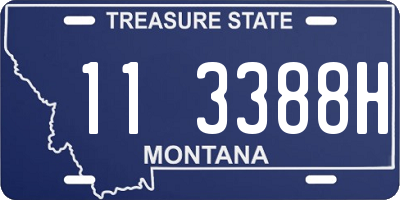 MT license plate 113388H