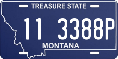 MT license plate 113388P