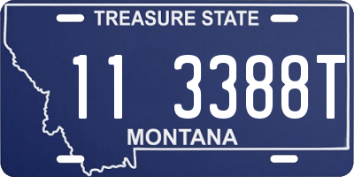 MT license plate 113388T
