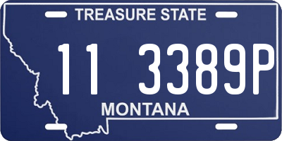 MT license plate 113389P