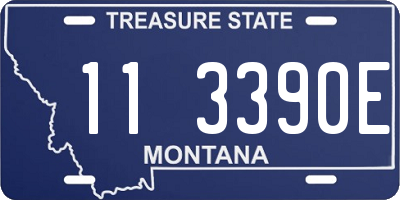 MT license plate 113390E